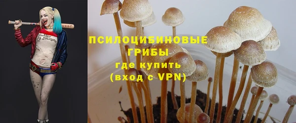 прущая мука Алзамай