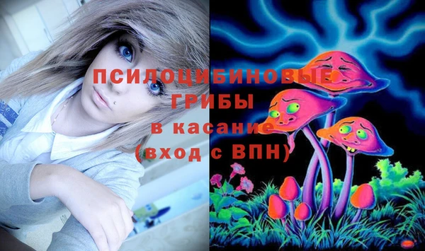 соль ск Алексеевка