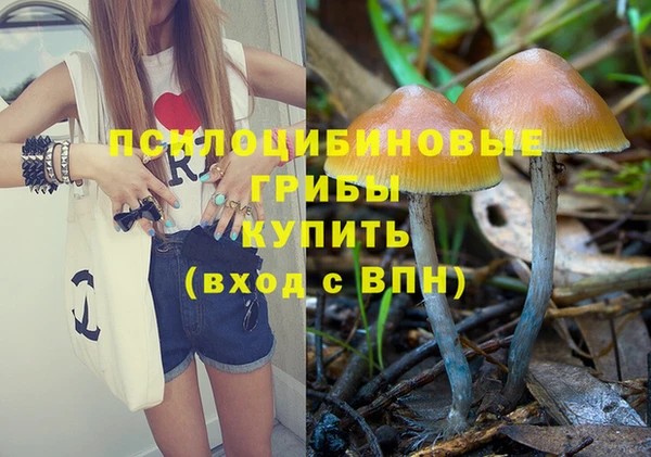 прущая мука Алзамай