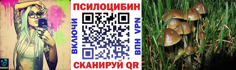 Псилоцибиновые грибы Psilocybine cubensis Дегтярск