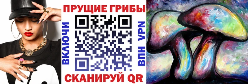 Псилоцибиновые грибы мухоморы  kraken tor  Дегтярск 